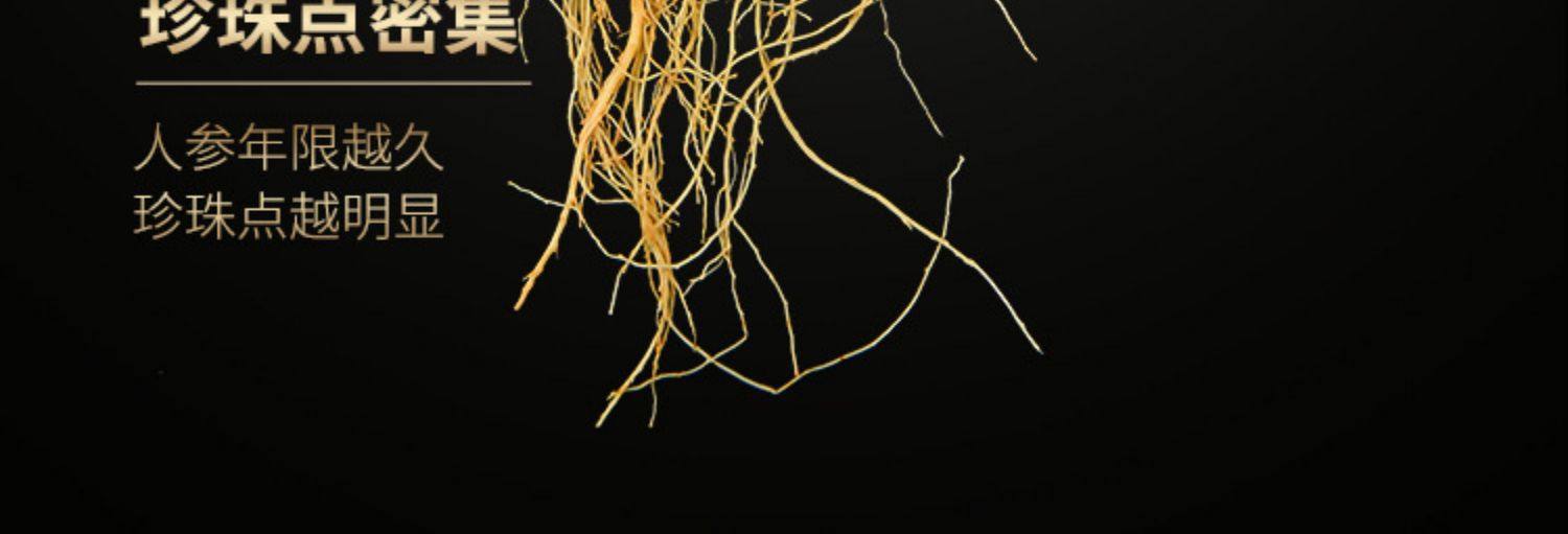 Fresh White Ginseng Root Extra Large Changbai Mountain Ren Shen Soup Tea Wine Ingredient quality and texture