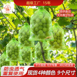 现货水果套袋防虫网袋透明束口网布葡萄透气抽绳袋水果保护袋