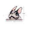 Retroreflective transport, cartoon glossy sticker, internet celebrity, pet