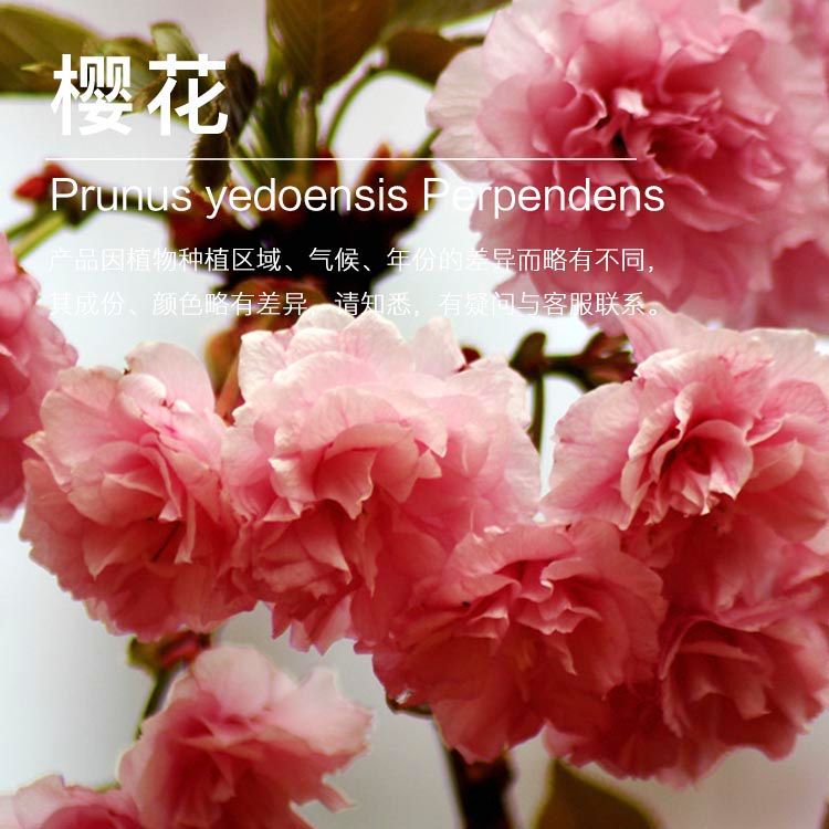 ��Ӧӣ����¶ ӣ������¶ ��¶���� ��ӭ��ѯ��ⱸ��������