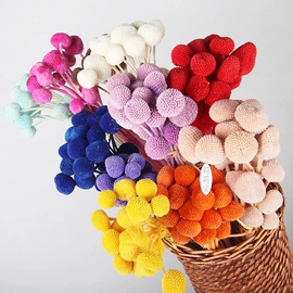 干花;永生花;鲜花花艺制品