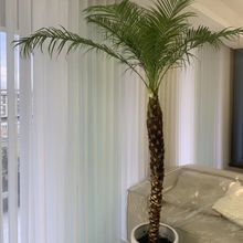 ����ᘿ�ͥԺ�ؙ���Ҭ�Ә��k���Ҕ[���b͏d��ر��I�Ҿ�