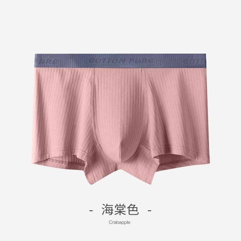 Ropa interior Pantalones cortos de entrepierna de algodón de Xinjiang para hombres Pantalones bóxer de primavera y verano antibacterianos para hombres