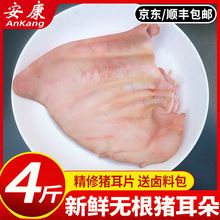 耳片无根猪耳朵新鲜冷冻猪耳片无根猪耳耳尖干净少毛京东顺丰包邮