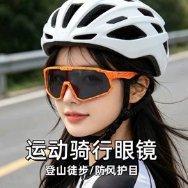 太阳镜;框架眼镜;老花镜