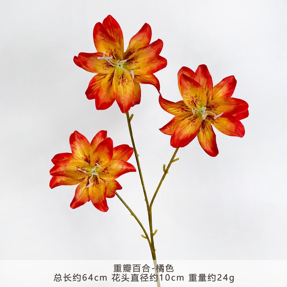 MJ-hoa huệ đôi-màu cam
