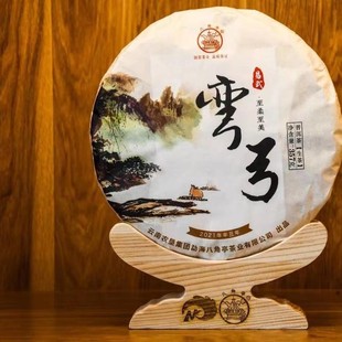 �˽�ͤ������S�ն�������2021�����䏝������357��/��ղؼ�