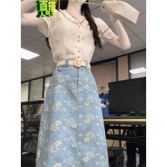 套装女夏季新款韩系温柔风其他公主袖高腰显瘦半身裙两件套新款