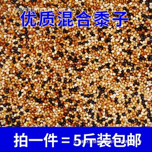 �W�^��ϼZ������Z��ɫ���ӼZʳ������С���Bʳ��Ƥ���Pĵ��5��