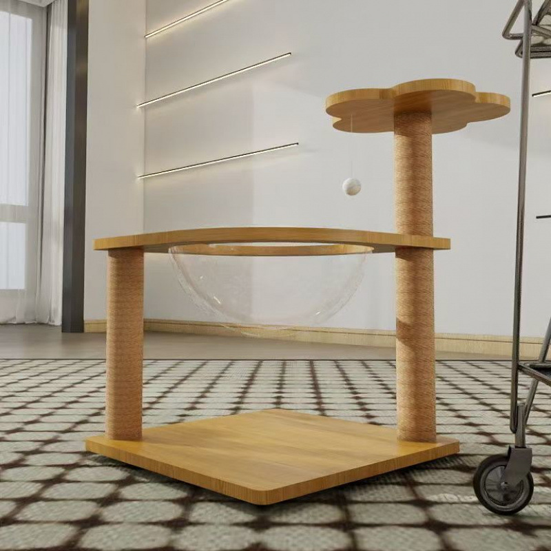 기본 새끼 고양이【003】