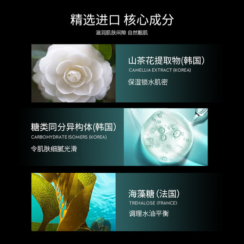 Camellia Skin Care Set Facial Essence Water Emulsion Facial Cleanser Peach Blossom Cream Cosmetics Complete Set Wholesale