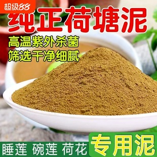 ��Ȼ��������ɏ��˯ɏ�~�X��ˮ��ֲ��I�B���ɻ���ˮ��Nֲ��Y