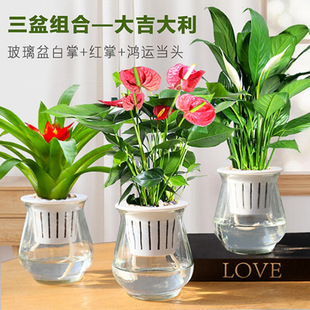 ˮ�ಣ�����Լt�����\���^����С�Gֲ�����҃ȿ͏d���B��ˮ�B�d��