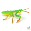 Praying mantis