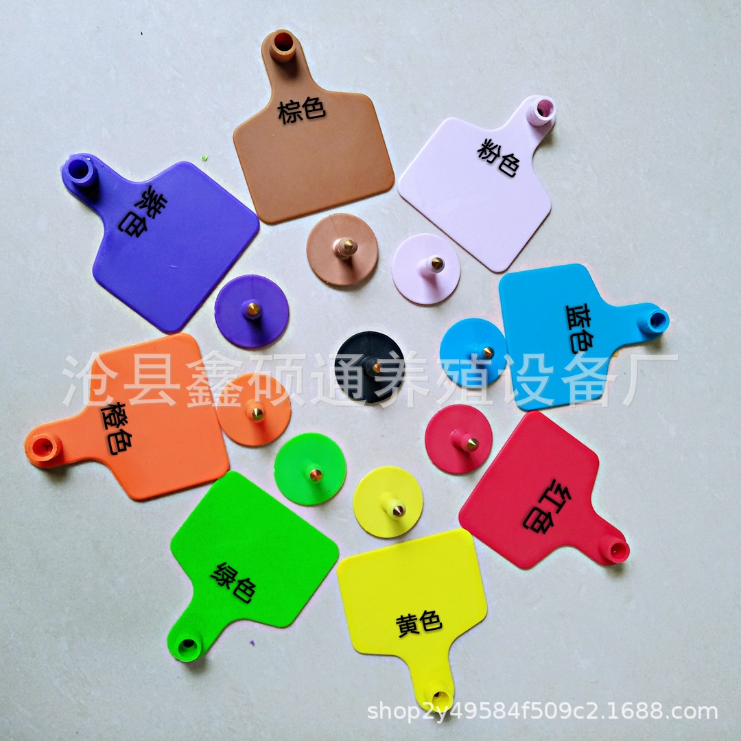 QQ图片20240607114306