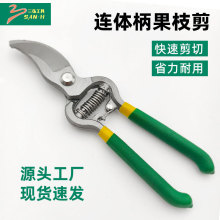 ����@����֦�����@��֦������֦�l�����ܼ�֦�����B�w����֦��