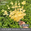 16-fork silk screen eucalyptus 7-branch eucalyptus engineering flower arrangement decorative silk flower home decoration money leaf