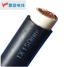 ӆ�Ƶ��|�̽�y��������| RTPU 1*150��̽��| ���a�S�҃r�񃞻�