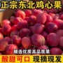 东北伊犁新鲜香妃水果
