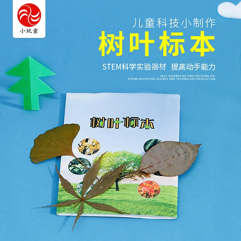 Детская наука, образование, игры, учебные пособия, технологии, небольшие изобретения, интерактивные DIY студенты ручной работы, научные экспериментальные образцы листьев