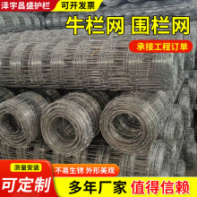 养殖牛栏网护栏果园圈地钢丝围栏网牧农场镀锌铁丝牛栏网草原鹿网