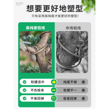 �辰�����X�z�X���P���X�z������@ˇ�F�z�����_�h�ɶ��ͅνz���]
