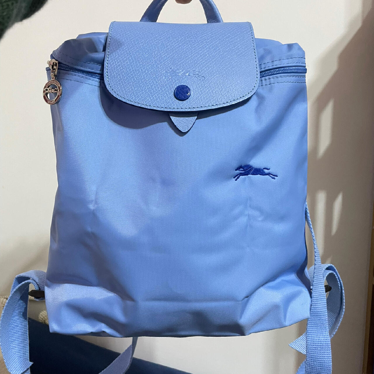 Anniversary blue backpack