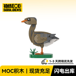 �K�uBOBlocks BZ-0188 ����羳����һ�����l