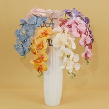 9�^�߶˺����m���滨�ٻ��Ҿӻ�Y�b�ˇ���l�[�������������