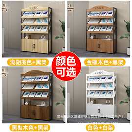 报刊架杂志架带柜门书刊宣传页展示架资料收纳架落地办公室置物架