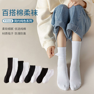 Wholesale Women's Pure White Cotton Slouch Socks Autumn Mid-Tube Versatile Sports Socks Japanese Casual Summer Ankle Socks