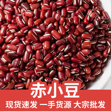 ɢ�b���l��С�����|�r�����L����С���t��޲�ײ�t��ɳɢ�S��ֱ�l