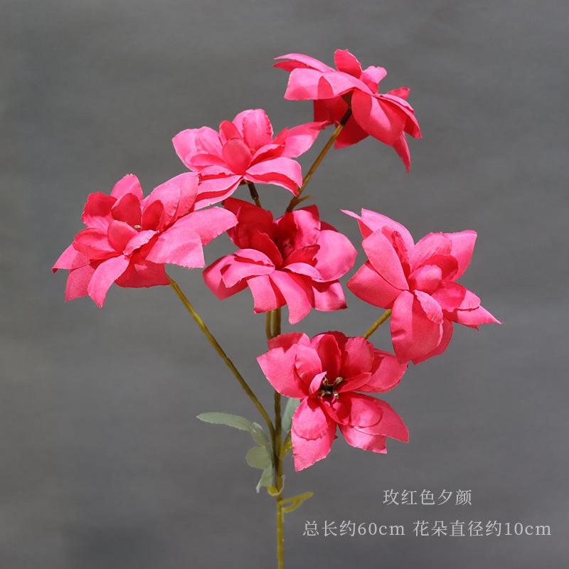 Rosa Roja Xiyan flor