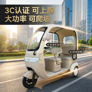 Electric Tricycle with Rain Canopy Enclosed for Elderly/Delivery