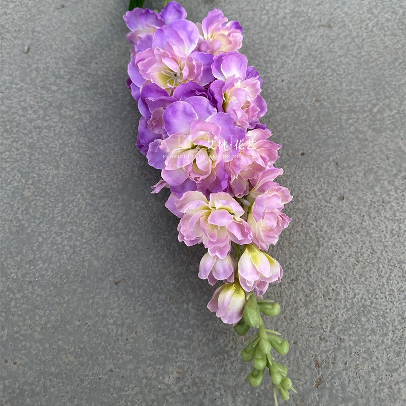 84cm 바이올렛