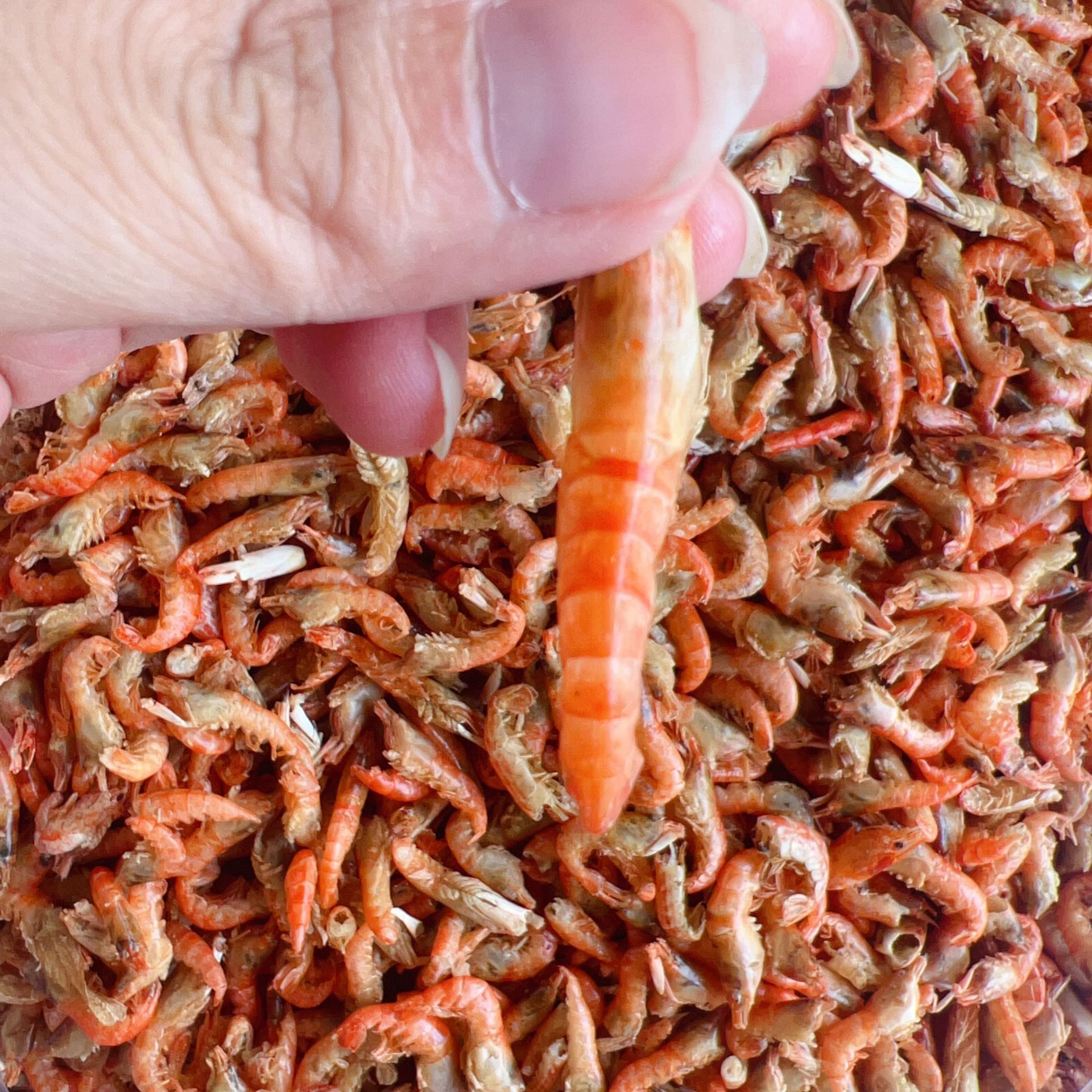 QQ图片20240825002325