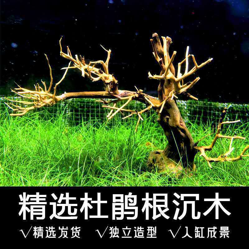 成品杜鹃木枝条鱼缸莫斯树枝一整套寄居蟹攀爬摆件沉木造景木爬宠|undefined