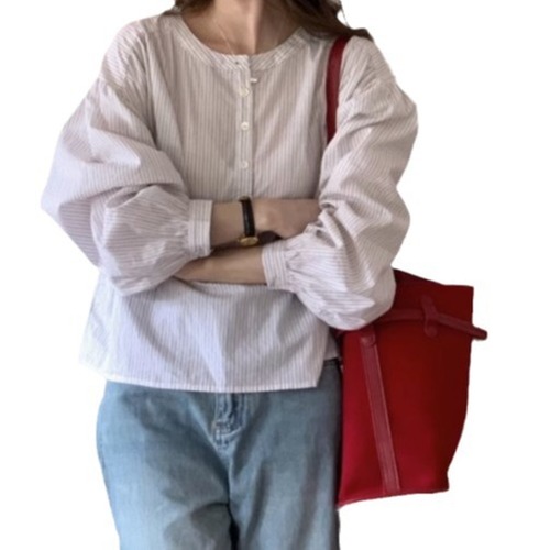 Women's Spring and Autumn Blue Striped Shirt Top 2025 French Design Slim Minority Shirt