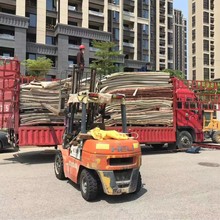 ���ݶ����f��̺��ë������Ȧ�q̺�S���}����汣��������ë̺�ؚ�