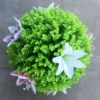 Mixed color lily eucalyptus ball