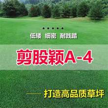 ���ɷfa4���ز�ƺ����ͥԺ�e��������Ƥ�N�����޼��Ͳ�̤��ľ