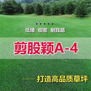 ���ɷfa4���ز�ƺ����ͥԺ�e��������Ƥ�N�����޼��Ͳ�̤��ľ