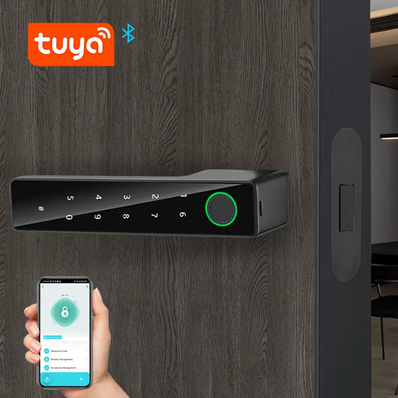 铝合金生态门指纹密码智能锁极简办公室门涂鸦蓝牙智能锁磁吸锁体