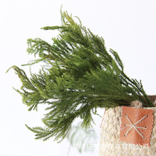 ������ʯ��ɭϵ��Ȼ�L���ﻨ�滨֦�{�Ӳݻ�����ļҾ��b�