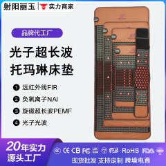 超长波理疗床垫远红外线光子能量陶土坐垫负氧离子排湿排寒腰带