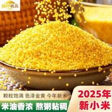 �SС�������r��С�S������s�ZŴС����ּZ������������S��L�r