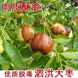 ����`������籱�Ϸ��󗗳����ش�ͥԺ�������Թ�����箔��Y��