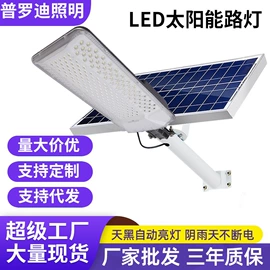 太阳能灯;投光灯;野营/露营灯