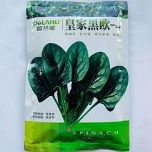 大叶菠菜种子耐寒热波菜籽种春秋冬四季易种农家速生高产蔬菜种孑