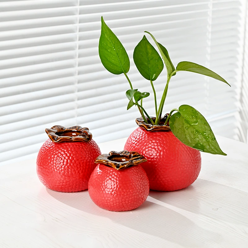 Керамический личи гидропонный горшок ваза цветочный горшок столешница минималистичный цветочное растение гидропонный горшок B. B.